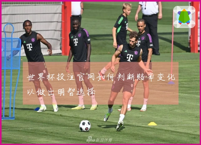 世界杯投注官网如何判断赔率变化以做出明智选择