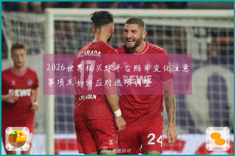 2026世界杯买球平台赔率变化注意事项及如何应对选项调整