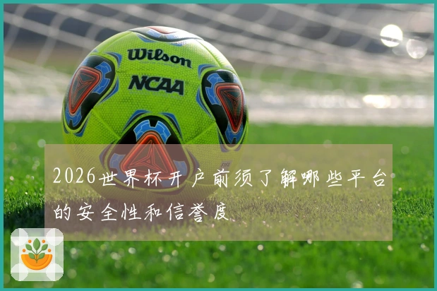 2026世界杯开户前须了解哪些平台的安全性和信誉度