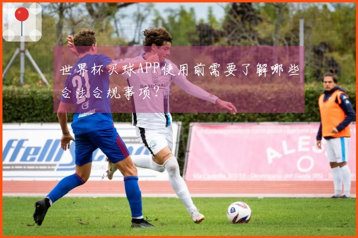 世界杯买球APP使用前需要了解哪些合法合规事项？