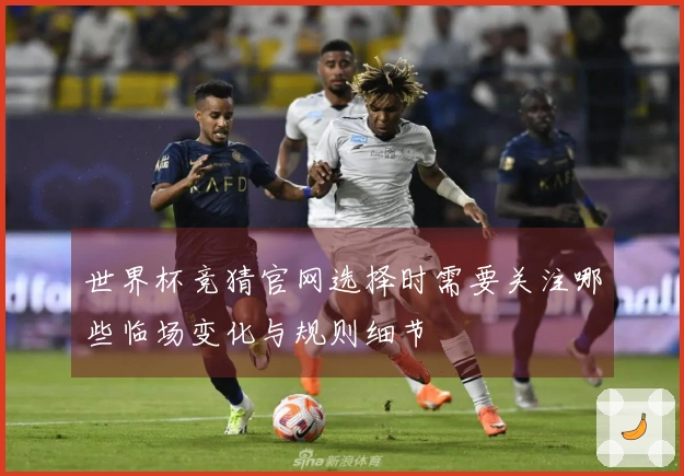 世界杯竞猜官网选择时需要关注哪些临场变化与规则细节