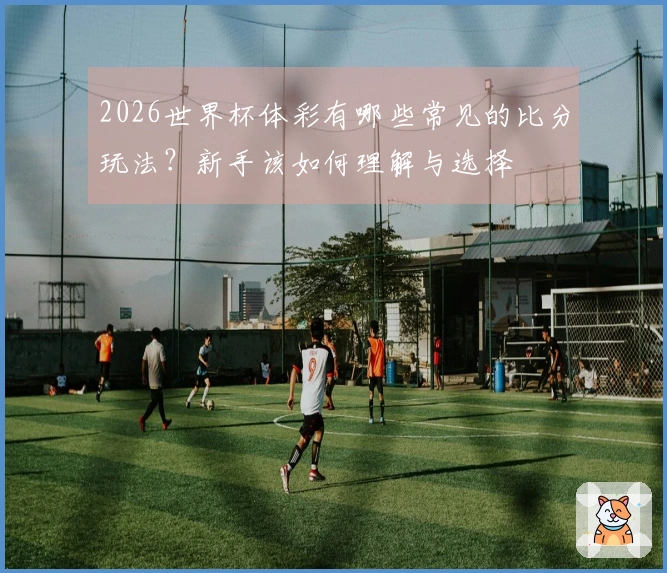 2026世界杯体彩有哪些常见的比分玩法？新手该如何理解与选择