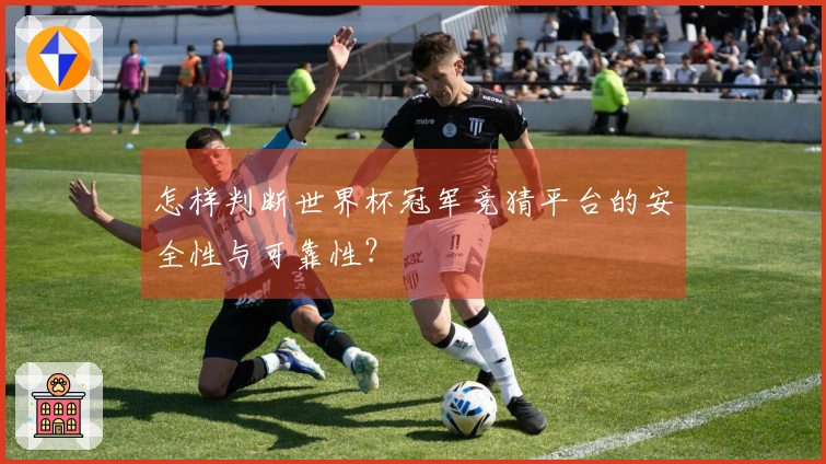 怎样判断世界杯冠军竞猜平台的安全性与可靠性？