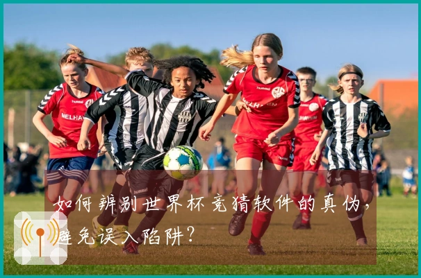 如何辨别世界杯竞猜软件的真伪，避免误入陷阱？