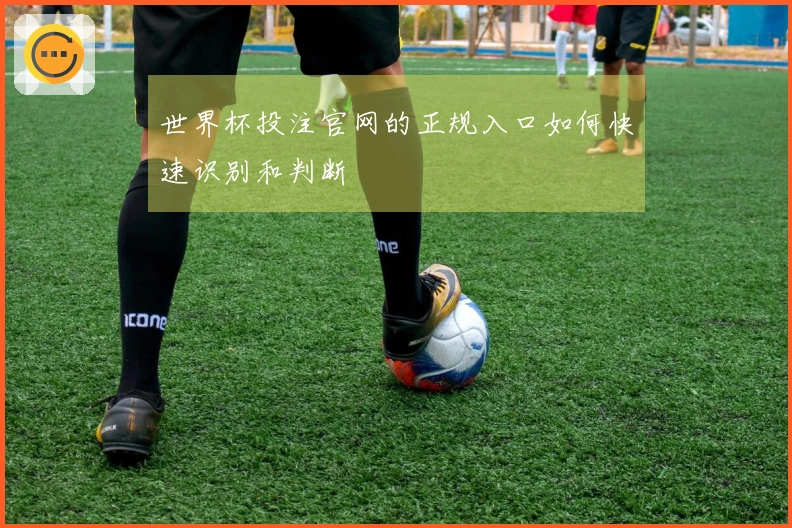 世界杯投注官网的正规入口如何快速识别和判断