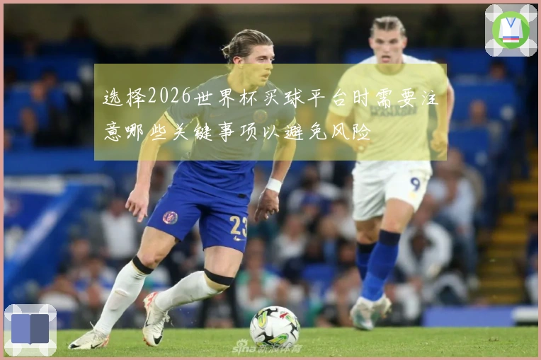 选择2026世界杯买球平台时需要注意哪些关键事项以避免风险