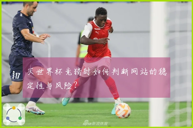 买世界杯竞猜时如何判断网站的稳定性与风险？