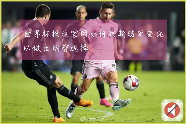 世界杯投注官网如何判断赔率变化以做出明智选择