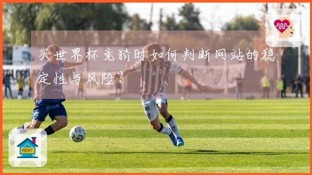 买世界杯竞猜时如何判断网站的稳定性与风险？