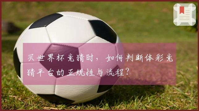 买世界杯竞猜时，如何判断体彩竞猜平台的正规性与流程？
