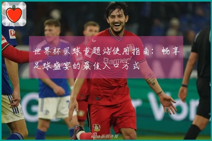 世界杯买球专题站使用指南：畅享足球盛宴的最佳入口方式