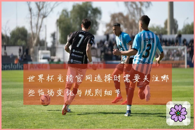 世界杯竞猜官网选择时需要关注哪些临场变化与规则细节