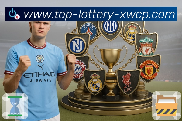 世界杯买球专题站使用指南：畅享足球盛宴的最佳入口方式